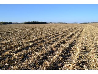 Property photo 74 - MAJOR ILLINOIS LAND AUCTION - 752.54+/- ACRES OFFERED IN 9 TRACTS IN KANKAKEE COUNTY, ILLINOIS